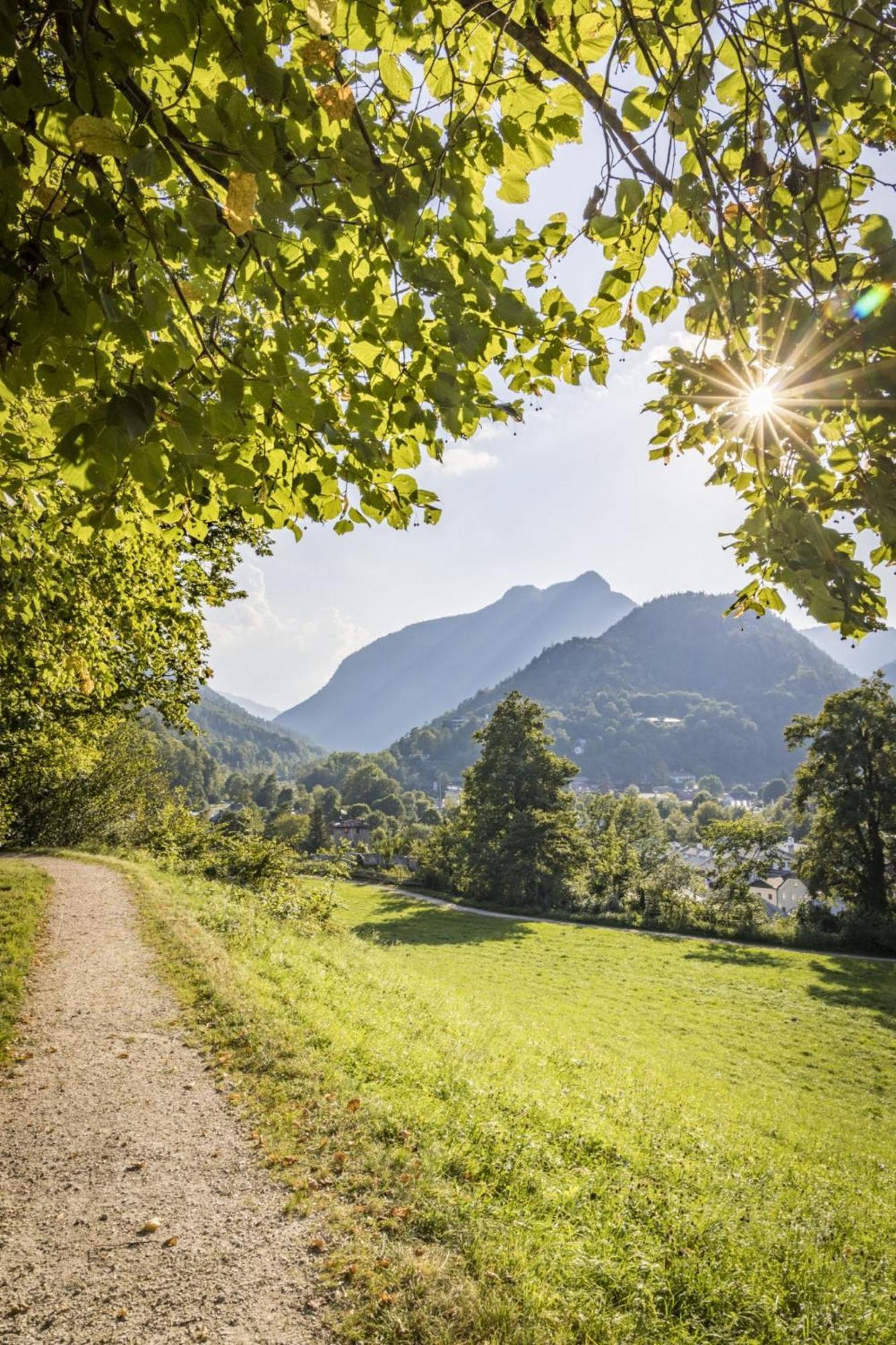Malerhaus Apartment Bad Reichenhall